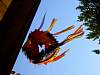 dsc02409.jpg